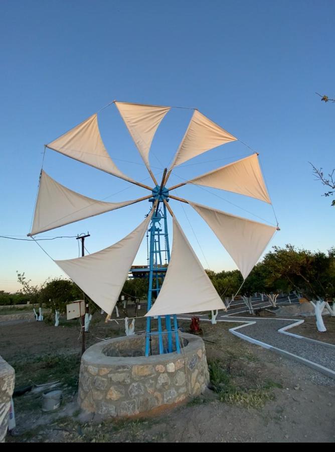 Limon Datca Datça Esterno foto
